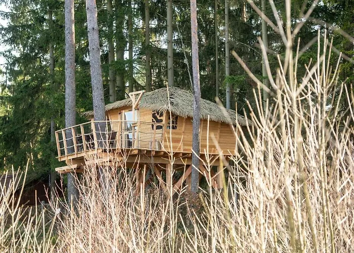 Treehouse U Rybnika