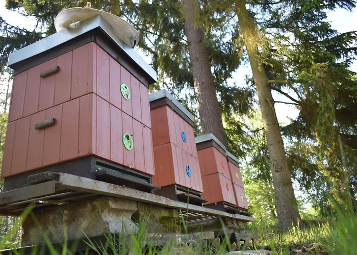 Treehouse U Rybnika