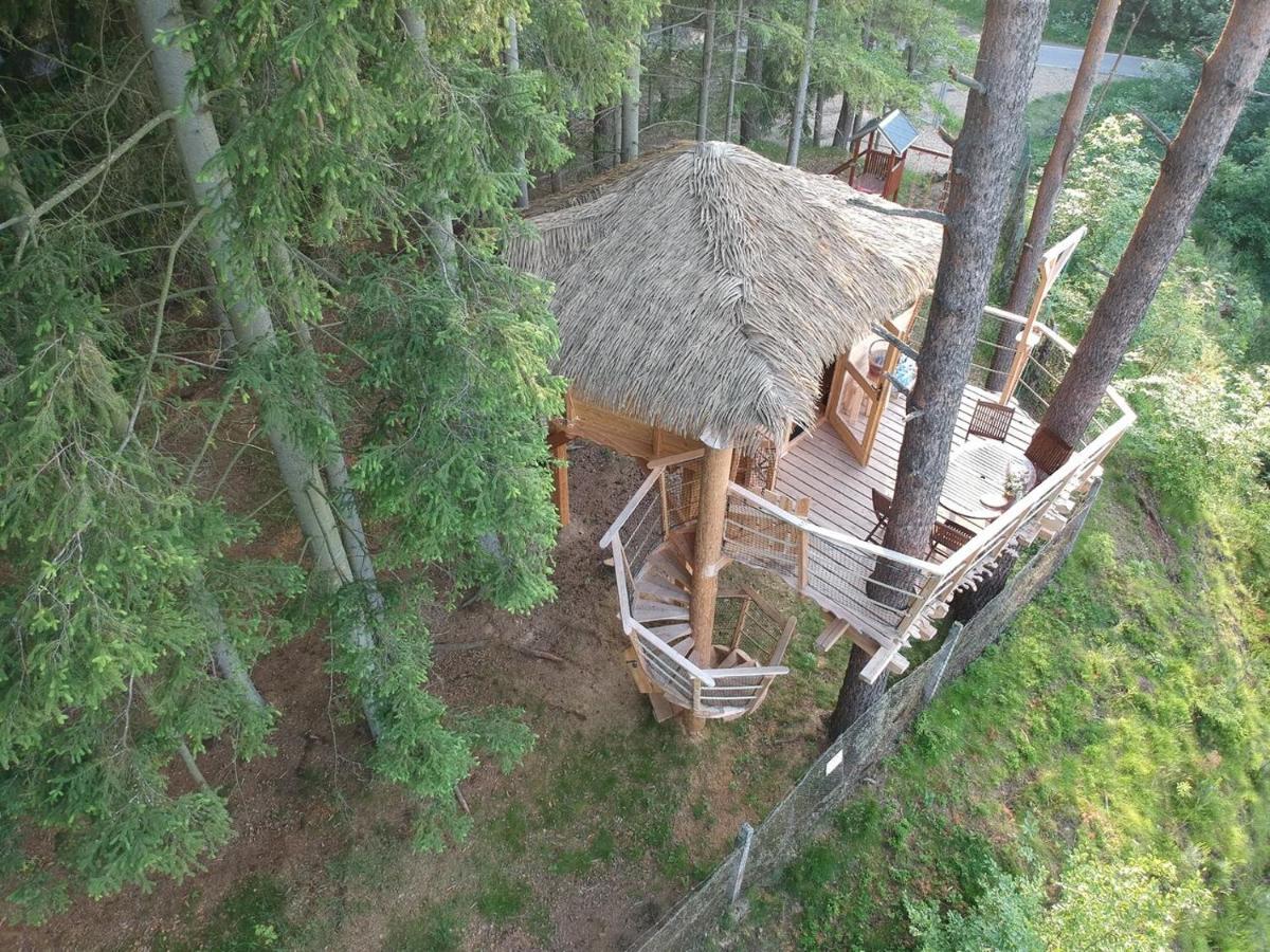 Treehouse U Rybnika Camping